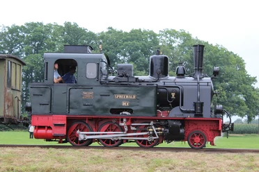 Historic steam locomotive named "Spreewald" on a green meadow with trees in the background, photographed from the side.