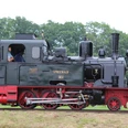 Historische Dampflok namens "Spreewald" auf einer grünen Wiese mit Bäumen im Hintergrund, seitlich fotografiert.Historic steam locomotive named "Spreewald" on a green meadow with trees in the background, photographed from the side.Historisk damplokomotiv ved navn "Spreewald" på en grøn eng med træer i baggrunden, fotograferet fra siden.Historische stoomlocomotief met de naam "Spreewald" op een groene weide met bomen op de achtergrond, gefotografeerd vanaf de zijkant.