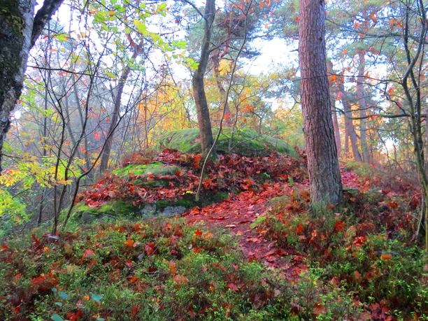 Naturfelsen Isterberg