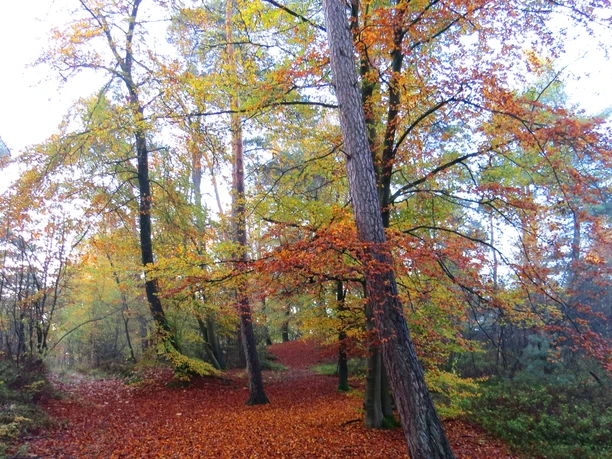 Naturfelsen Isterberg