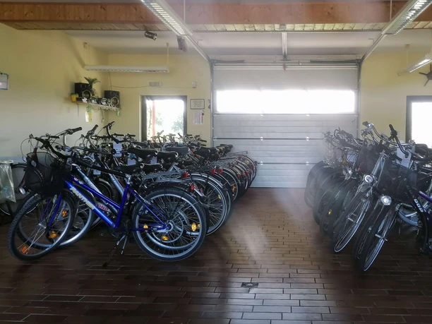 Fahrrad Bergmann Große Auswahl an Leihfahrrädern bei Fahrrad Bergmann in Langlingen