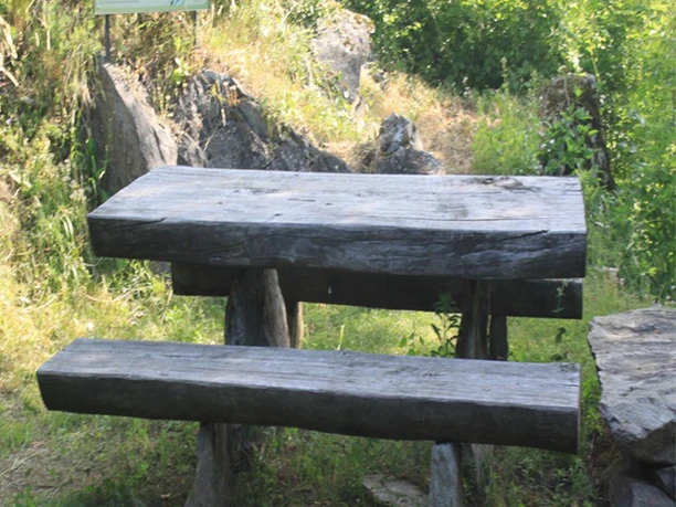 Feuerstelle Kastanienselve 05