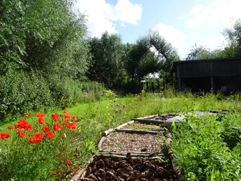 weidenzentrum4_susanne-friese