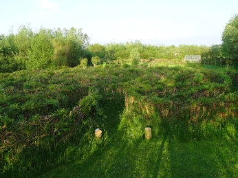 weidenzentrum3_susanne-friese