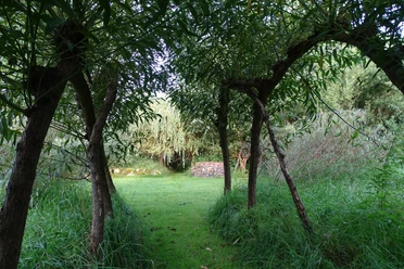 weidenzentrum2_susanne-friese