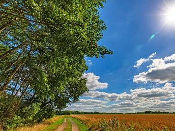 Wunderbare Weitblicke rund um Mulmshorn Wunderbare Weitblicke rund um Mulmshorn