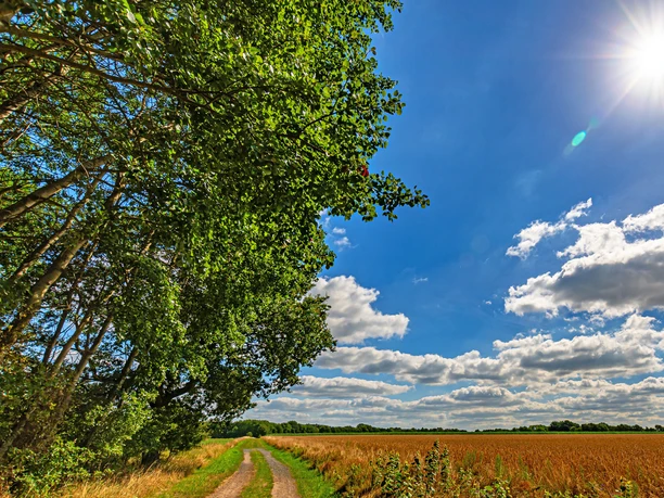 Wunderbare Weitblicke rund um Mulmshorn Wunderbare Weitblicke rund um Mulmshorn