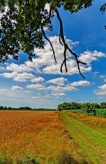 Weite Felder prägen die Gegend rund um Mulmshorn Weite Felder prägen die Gegend rund um Mulmshorn
