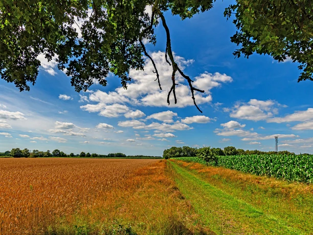 Weite Felder prägen die Gegend rund um Mulmshorn Weite Felder prägen die Gegend rund um Mulmshorn