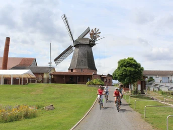Historische Windmühle in Niedersachsen umgeben von grünen Wiesen, im Vordergrund radelnde Besucher.Historic windmill in Lower Saxony surrounded by green meadows, visitors cycling in the foreground.Historisk vindmølle i Niedersachsen omgivet af grønne enge, besøgende på cykel i forgrunden.Historische windmolen in Nedersaksen omringd door groene weiden, fietsende bezoekers op de voorgrond.