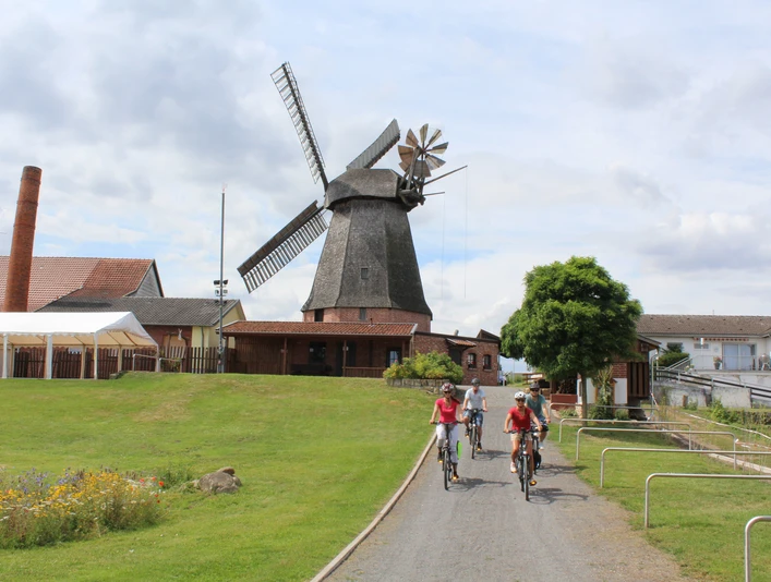 Büschings Mühle Historische Windmühle in Niedersachsen umgeben von grünen Wiesen, im Vordergrund radelnde Besucher.Historic windmill in Lower Saxony surrounded by green meadows, visitors cycling in the foreground.Historisk vindmølle i Niedersachsen omgivet af grønne enge, besøgende på cykel i forgrunden.Historische windmolen in Nedersaksen omringd door groene weiden, fietsende bezoekers op de voorgrond.