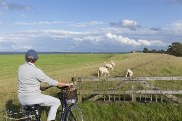fahrrad-fahren-am-langwarderdeich-2