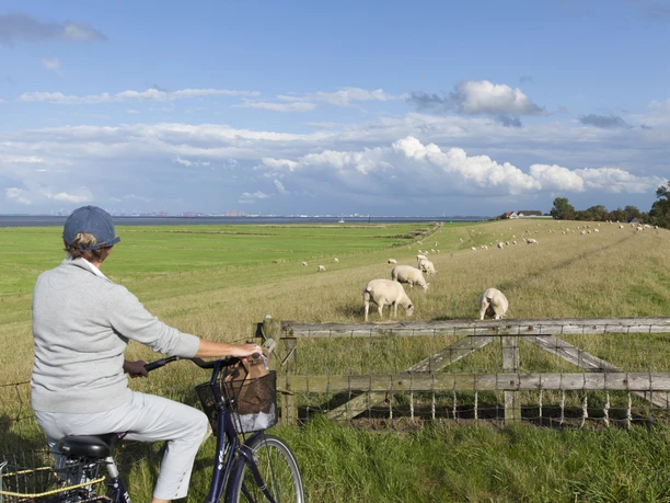 fahrrad-fahren-am-langwarderdeich-2