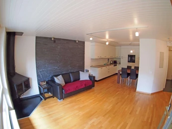 Wohnzimmer mit Schwedenofen