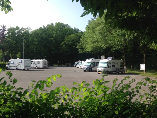Mehrere Wohnmobile parken auf einem offenen Stellplatz, umgeben von üppigen Bäumen und Sträuchern.