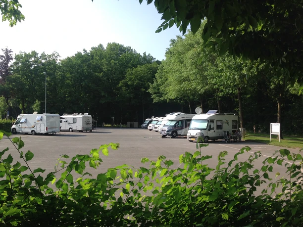 Stellplatz - Blick von Süden Mehrere Wohnmobile parken auf einem offenen Stellplatz, umgeben von üppigen Bäumen und Sträuchern.