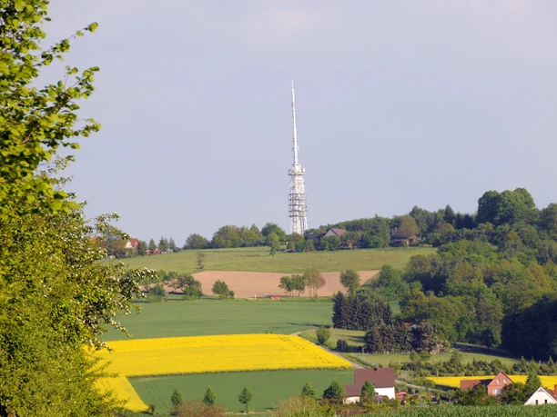 Blick auf den Eggeberg Blick auf den mit einem Sendeturm bestückten Eggeberg, umgeben von grünen Feldern und Bäumen.