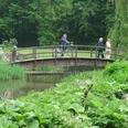 Fußgänger und Radfahrer überqueren eine kleine Brücke in einem grünen Park mit Teich und üppiger Vegetation.