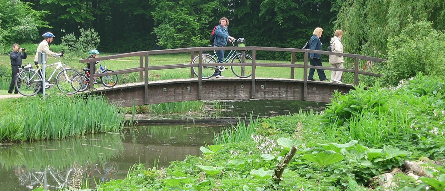 Fußgänger und Radfahrer überqueren eine kleine Brücke in einem grünen Park mit Teich und üppiger Vegetation.