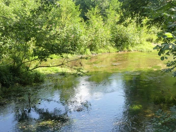 Beke-Lippe-Zusammenfluss Zusammenfluss von Beke und Lippe, umgeben von dicht bewachsenen grünen Bäumen und klarem Wasser.