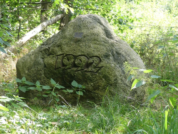 Großer Stein mit eingravierter Jahreszahl 1992, umgeben von dichter Vegetation.