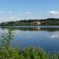 See mit spiegelndem Wasser, im Hintergrund bewaldete Uferlandschaft und Gebäude von Gut Lippesee.