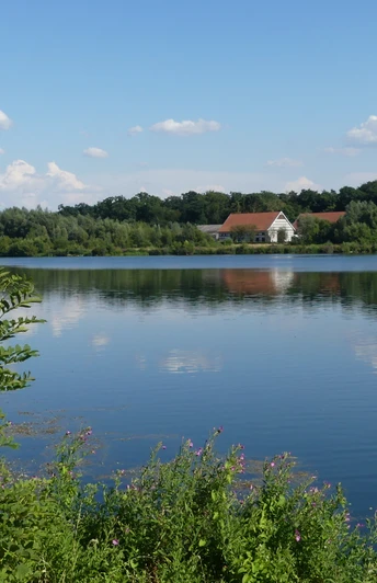 See mit spiegelndem Wasser, im Hintergrund bewaldete Uferlandschaft und Gebäude von Gut Lippesee.