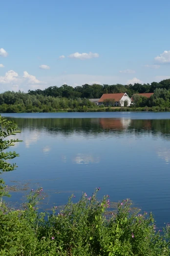 Blick über den Lippesee auf Gut Lippesee See mit spiegelndem Wasser, im Hintergrund bewaldete Uferlandschaft und Gebäude von Gut Lippesee.