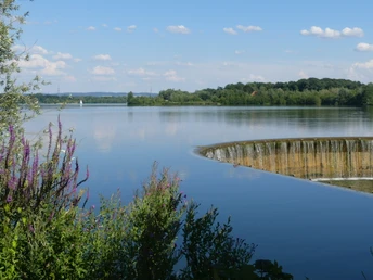 Blick über den klaren Lippesee mit einem sanften Wasserfall, umgeben von blühenden Pflanzen.