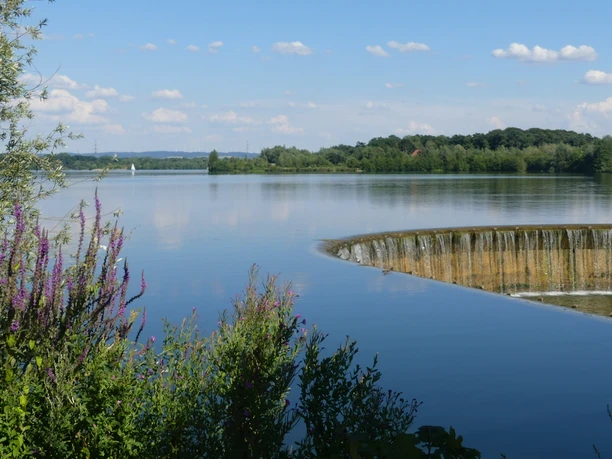 Blick über den Lippesee vom Auslaufbauwerk Blick über den klaren Lippesee mit einem sanften Wasserfall, umgeben von blühenden Pflanzen.