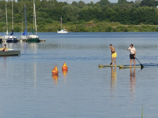 Zwei Männer beim Stand-up-Paddeln auf einem ruhigen See, umgeben von Bäumen und Segelbooten.