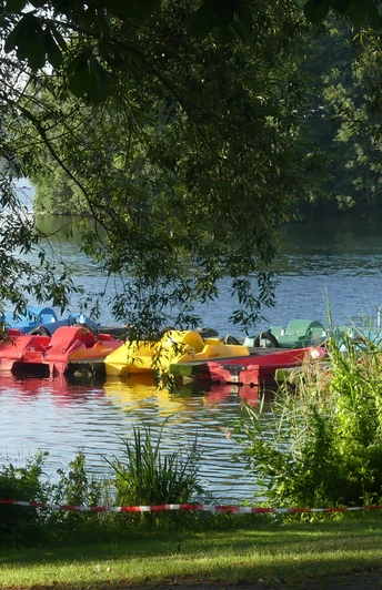 Bunte Tretboote liegen an einem Steg im malerischen See, umgeben von grüner Natur und Bäumen.