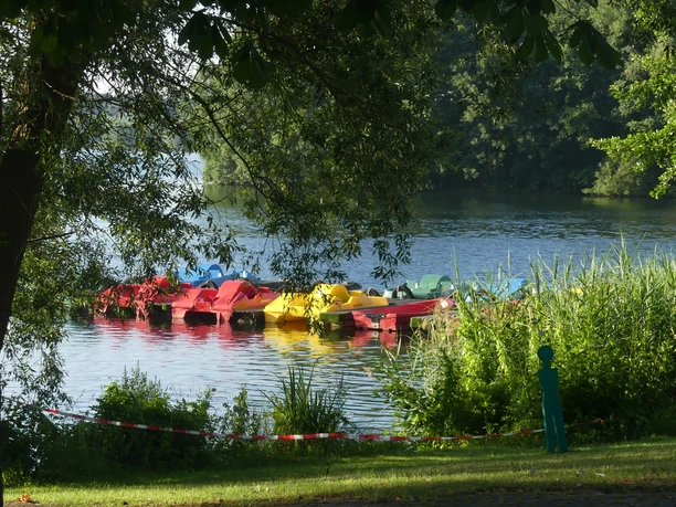 Tretboote am Steg der Seemöwe Bunte Tretboote liegen an einem Steg im malerischen See, umgeben von grüner Natur und Bäumen.