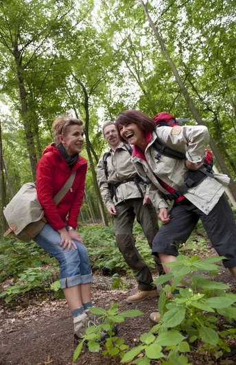 Wandergruppe im Wald Eine fröhliche Wandergruppe genießt einen Spaziergang durch einen grün bewaldeten Pfad.