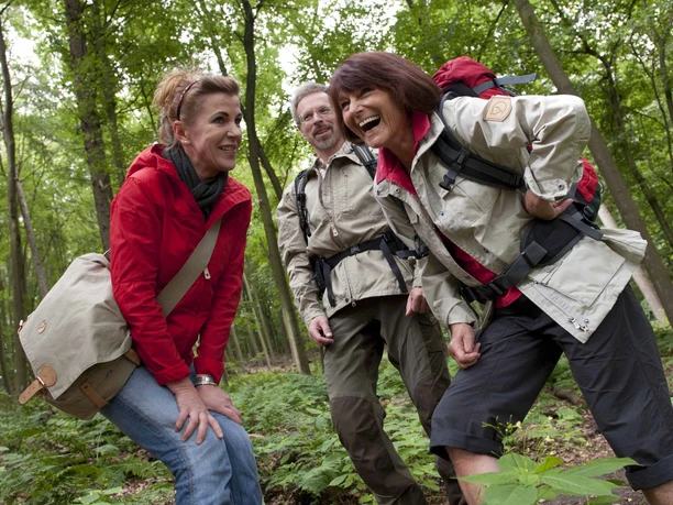 Wandergruppe im Wald Eine fröhliche Wandergruppe genießt einen Spaziergang durch einen grün bewaldeten Pfad.