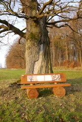 Holzbank mit Informationstafeln vor einem großen, alten Baum am Waldrand, unter blauem Himmel.