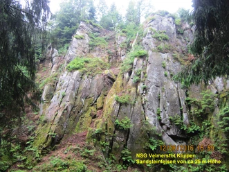 Kalksteinklippen unterhalb der Preußischen Velmerstot Mächtige Kalksteinklippen mit üppigem Moosbewuchs und hoch aufragenden Fichten im Hintergrund.