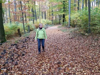 Weg am Keimberg Herbstlicher Waldweg am Keimberg mit einer Frau, die spazieren geht, umgeben von buntem Laub.