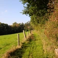 Naturroute Westkilver-Rödinghausen Ein schmaler, grasbewachsener Pfad schlängelt sich entlang eines Weidezauns, gesäumt von Bäumen und Büschen.