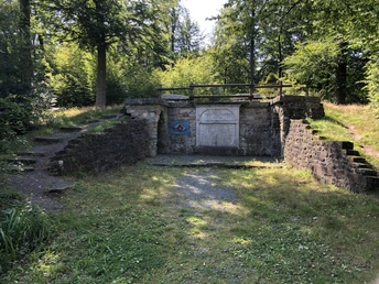 Luccaburg Ruinen einer alten Steinstruktur, umgeben von üppigem Waldbewuchs bei sonnigem Wetter.