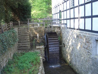 Gutswassermühle Hudenbeck Historische Wassermühle mit angrenzendem Fachwerkgebäude, umgeben von Natur und einem kleinen Bach.