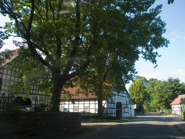 Fachwerkdorf Offelten Fachwerkhäuser säumen eine ruhige Straße in Offelten, umgeben von üppigem, grünem Laub.