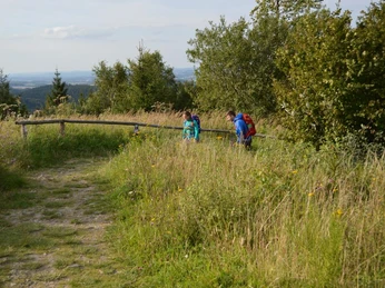 Naturbelassener Pfad an der Preussischen Velmerstot Waldpfad mit Gras gesäumt, führt an Bäumen vorbei. Zwei Wanderer auf Erhöhung mit weitläufigem Ausblick.