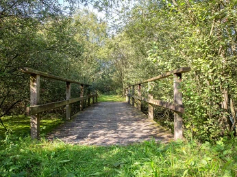 Naturraum Brögberner Teiche - Baccumer Bruch