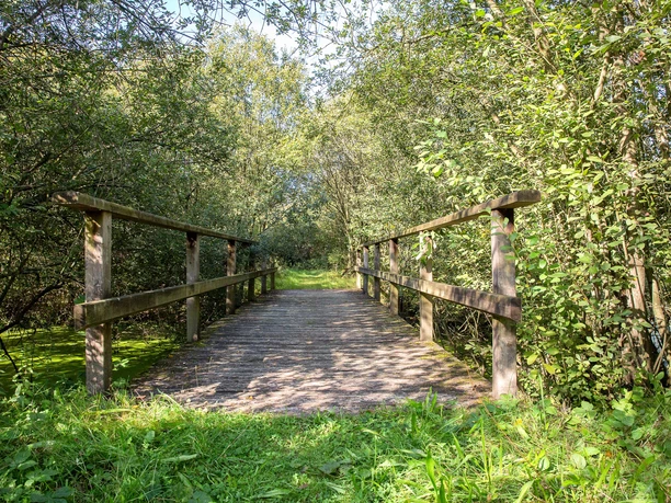 Naturraum Brögberner Teiche - Baccumer Bruch