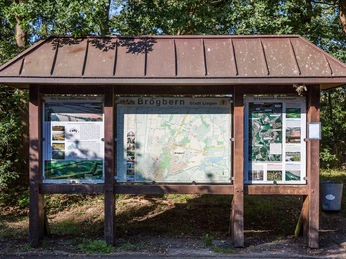 Naturraum Brögberner Teiche - Baccumer Bruch