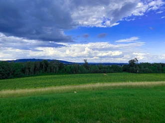 Blick von Breitenbach Gehrenberg.jpg