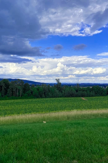 Blick von Breitenbach Gehrenberg.jpg