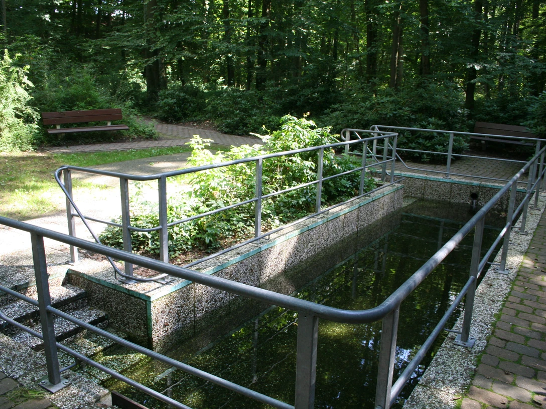 Tretbecken in Heiligenberg, umgeben von grünen Bäumen und ausgestattet mit praktischen Handläufen.