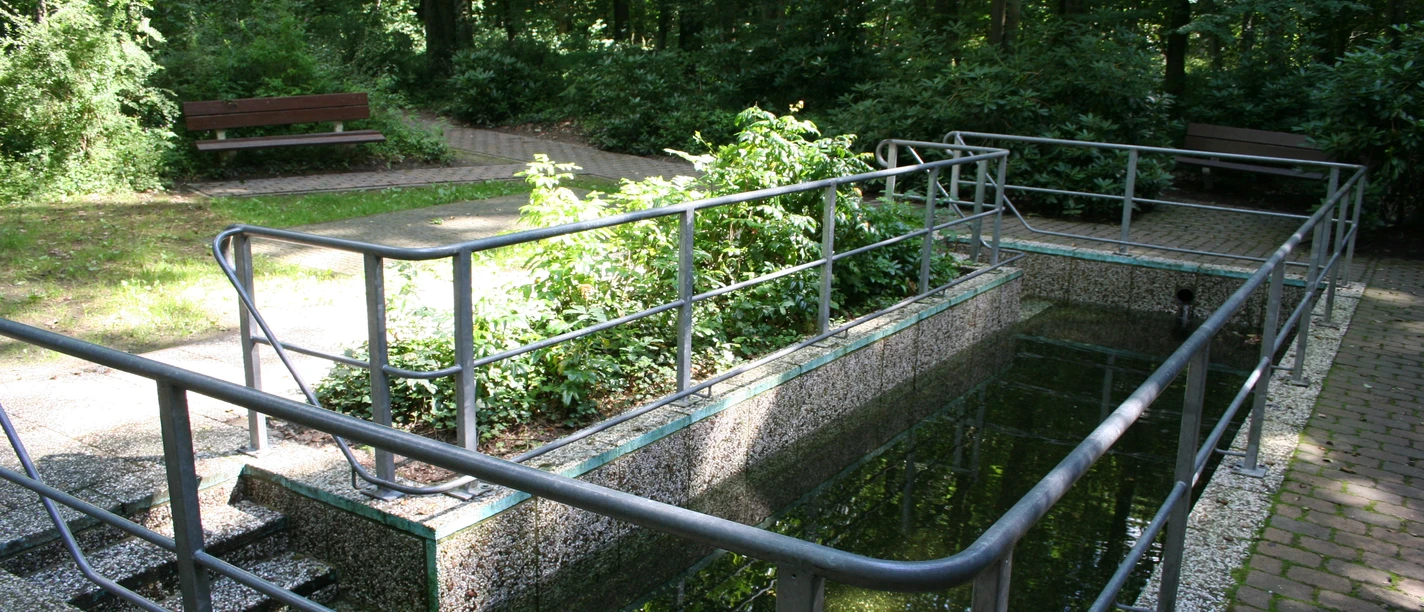 Pedal pool in Heiligenberg, surrounded by green trees and equipped with practical handrails.